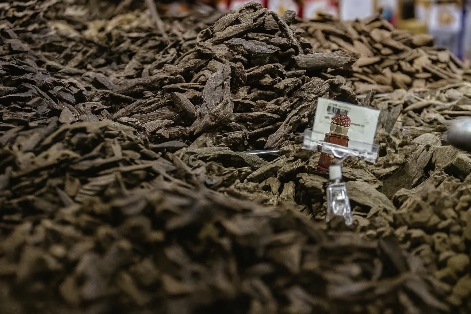 Agarwood & Resin: Nature’s Hidden Gems, Bottled - attar perfume