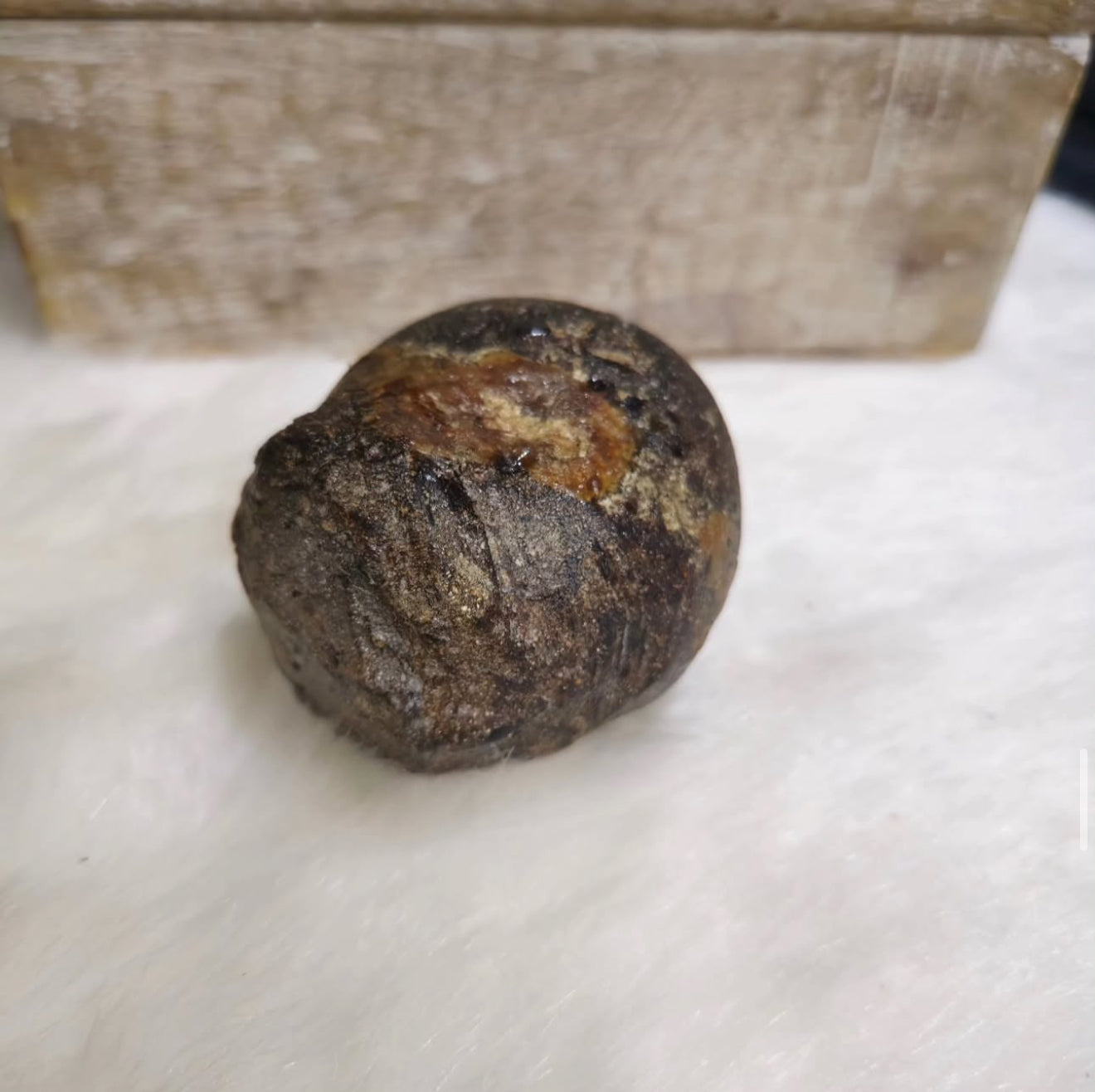 African Ambergris