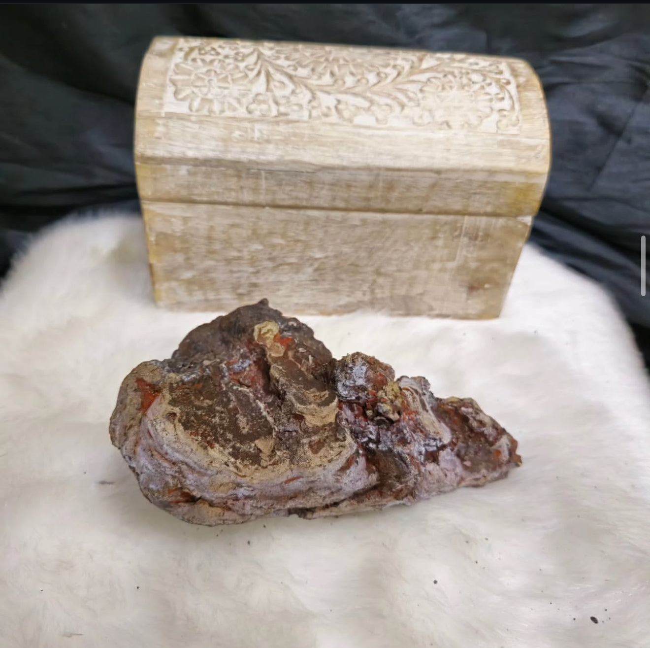 African Ambergris