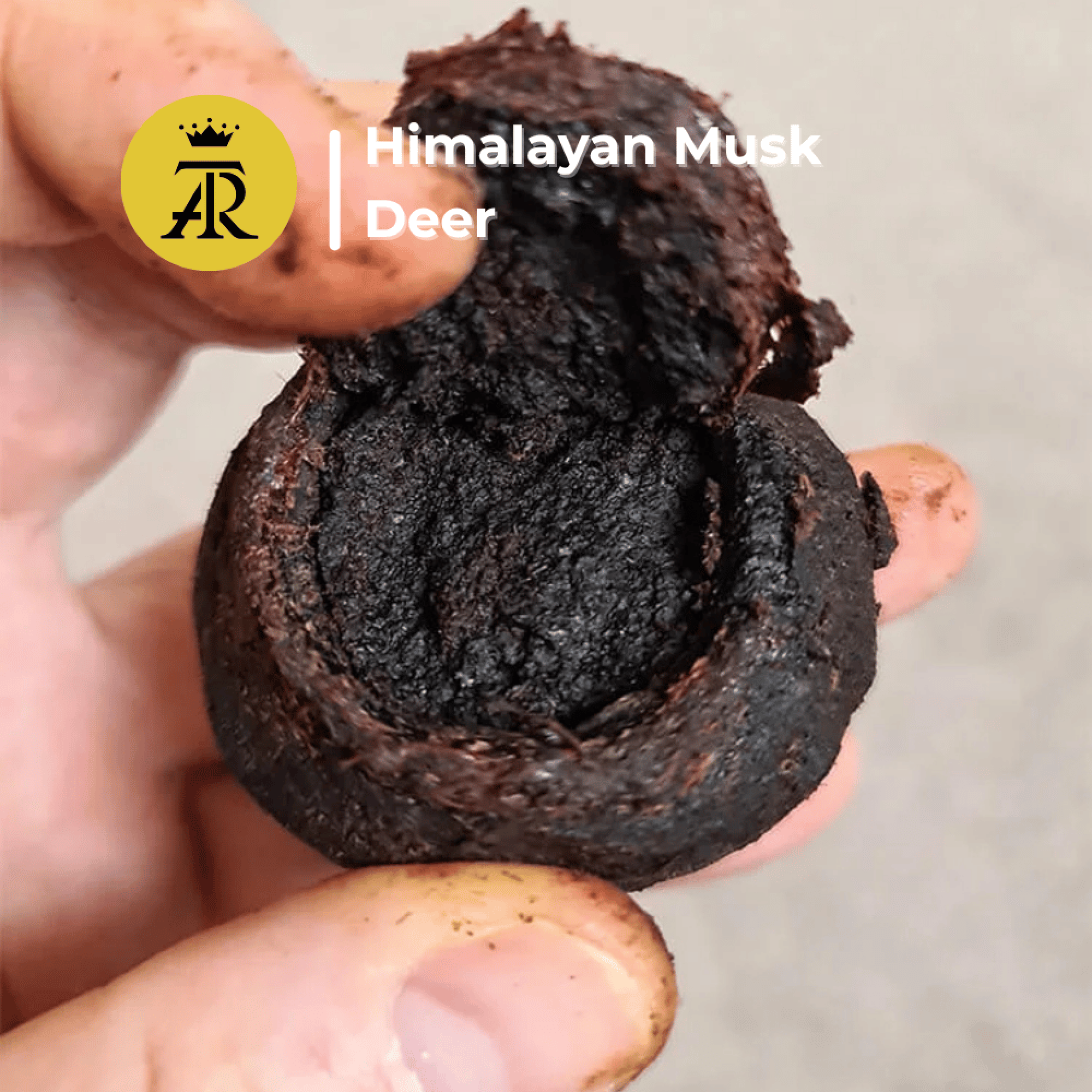 Himalayan Musk Deer product held between fingers with brand logo in corner