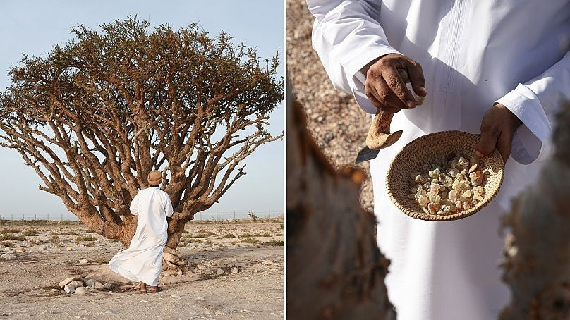 The Story of Oud Luban
