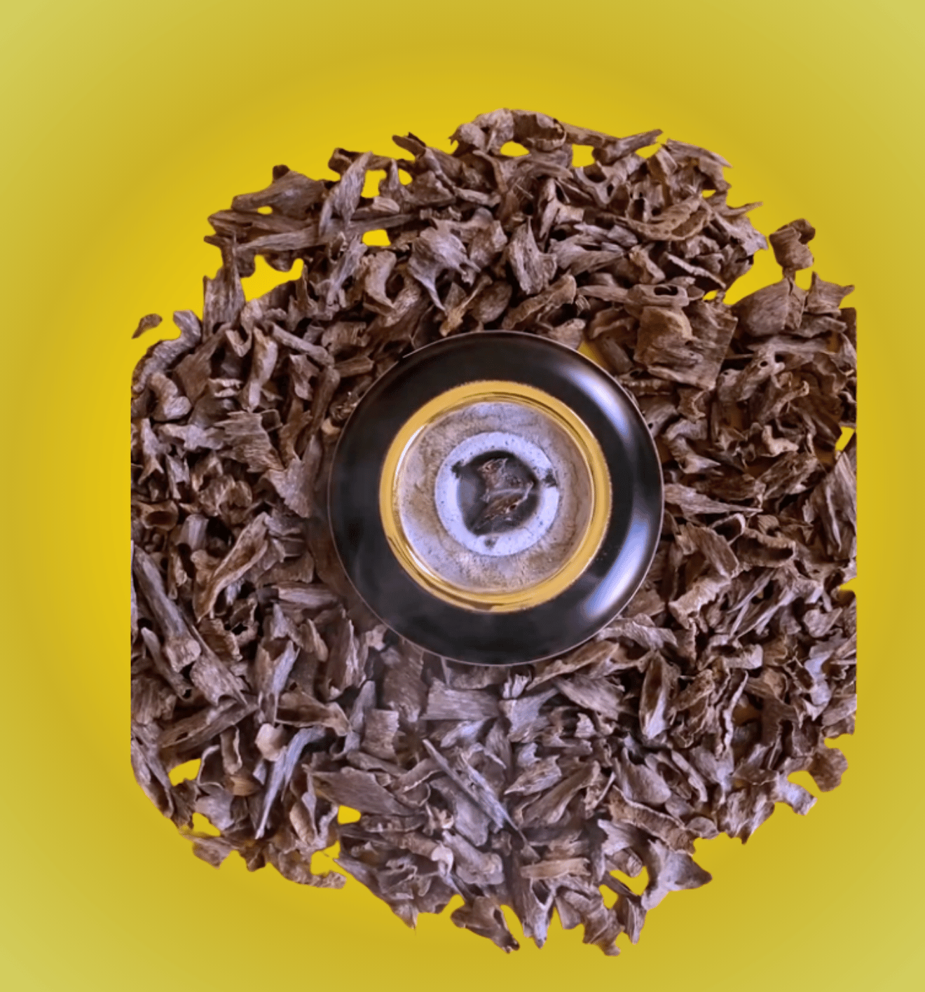 Indian Mouri Agarwood
