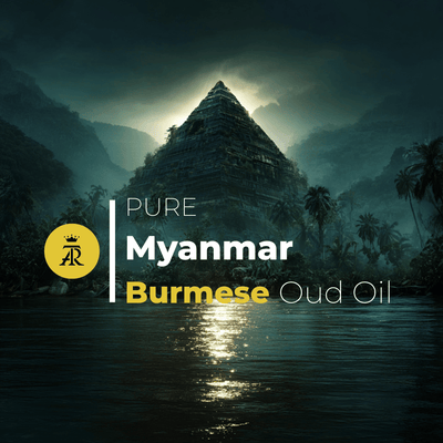 Burmese Oud Super Oil