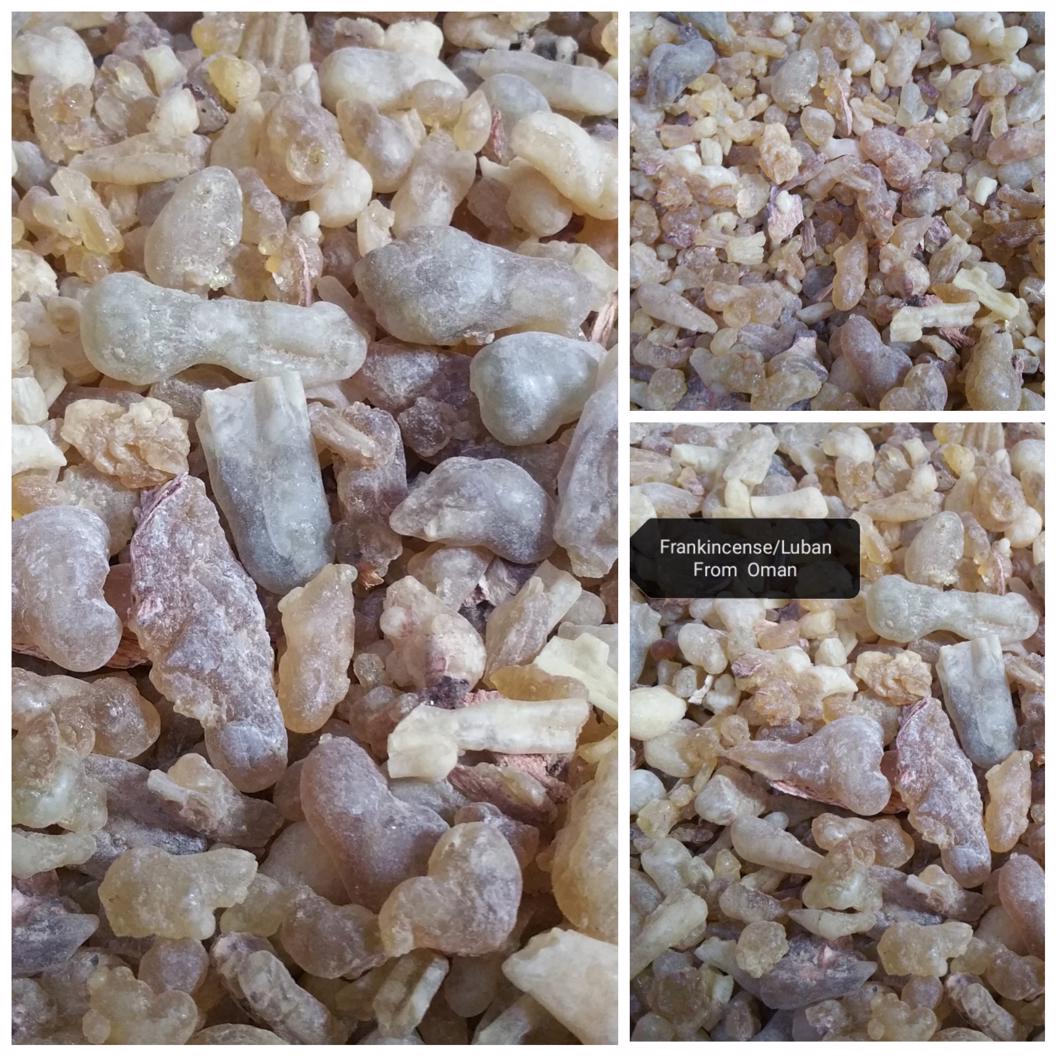 Luban Sultani – Royal Frankincense Resin