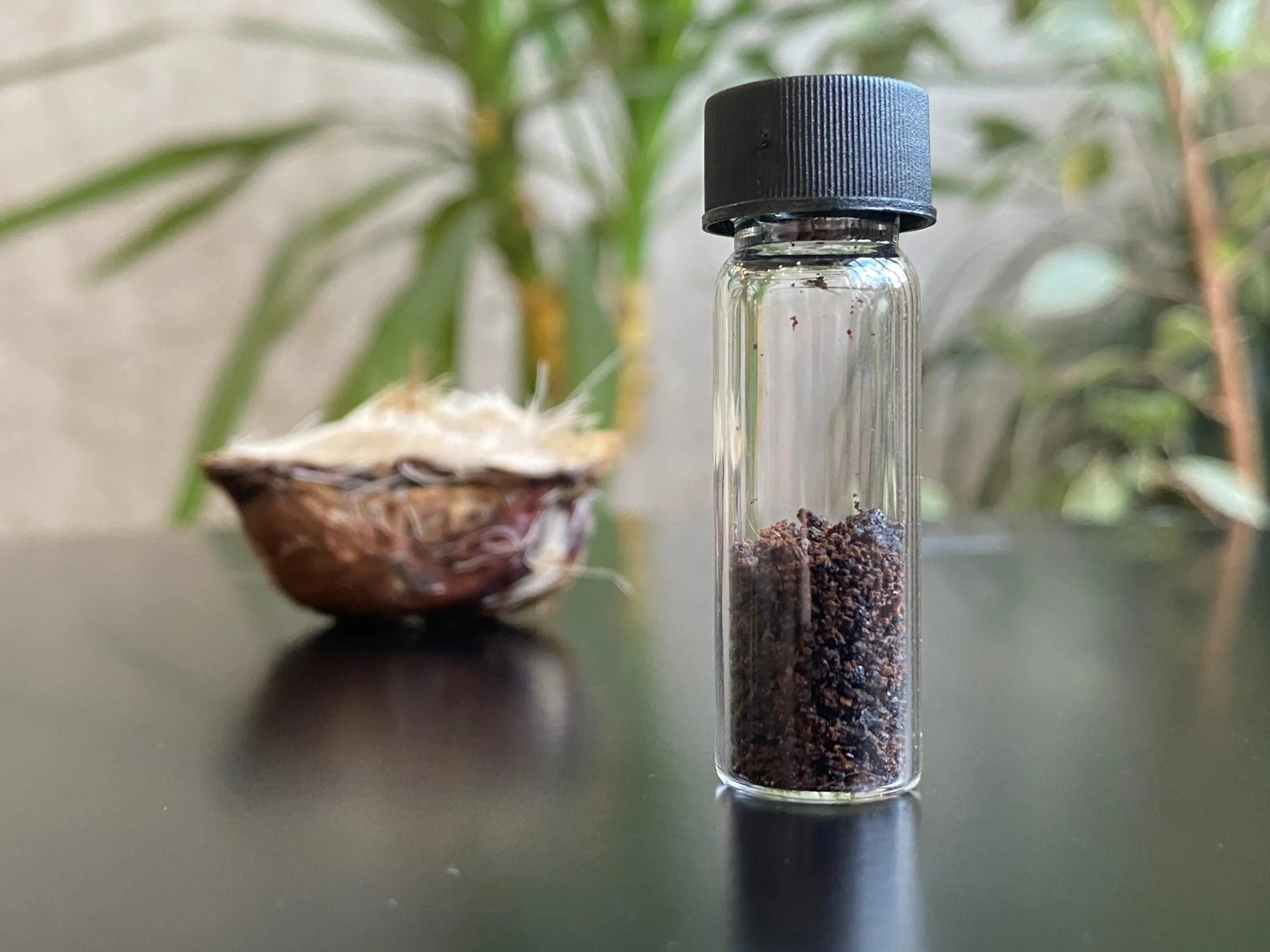 Clear glass bottle with black lid containing dark seeds on a reflective surface with blurred greenery in the background.