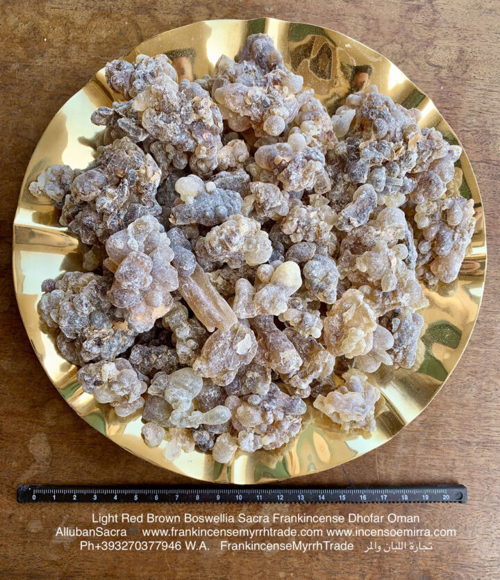 Oud Luban – Frankincense & Oud Elixir