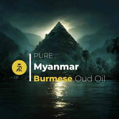 Burmese Oud Super Oil