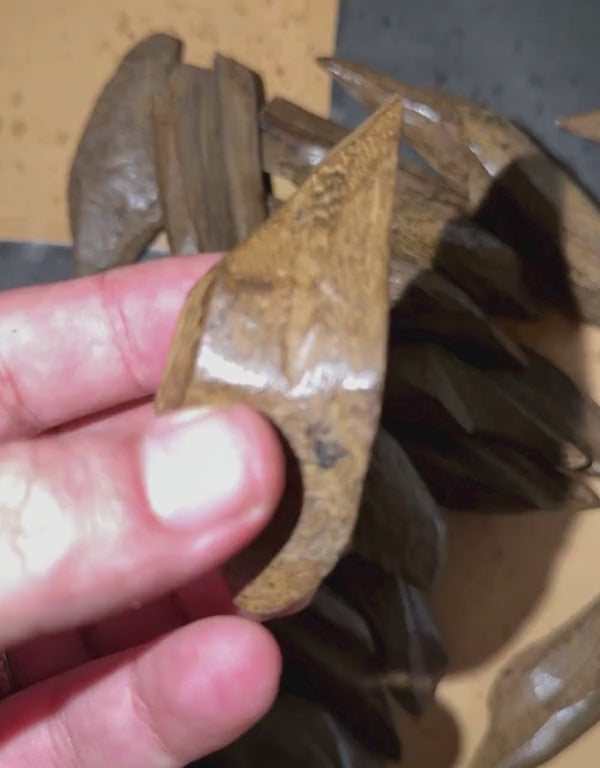 Marooki Oud Super Premium | Limited