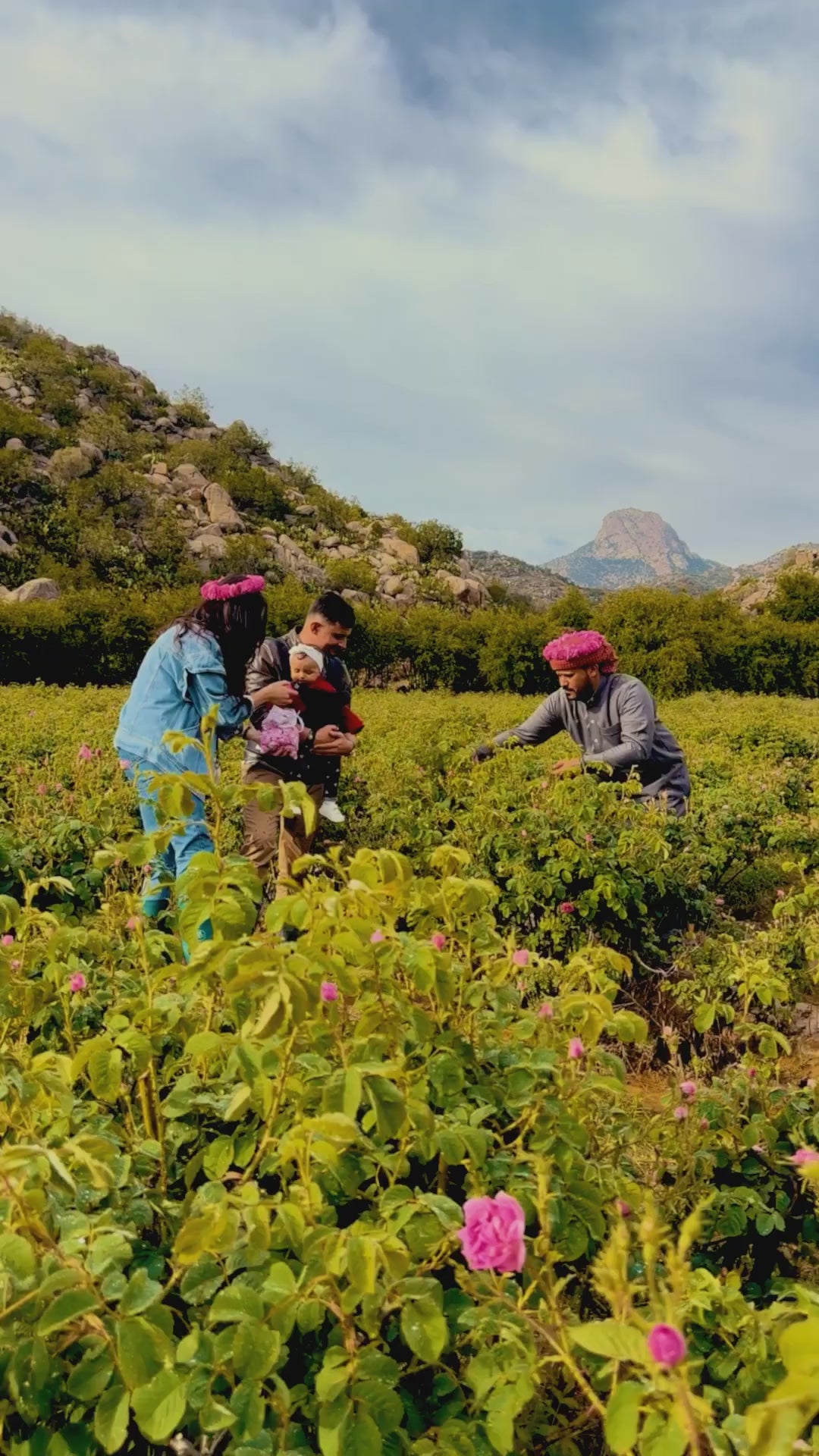 Taif Rose – Pure Attar