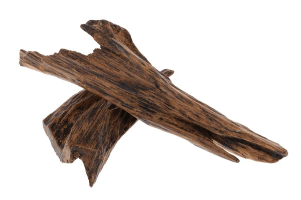 Oud Amber