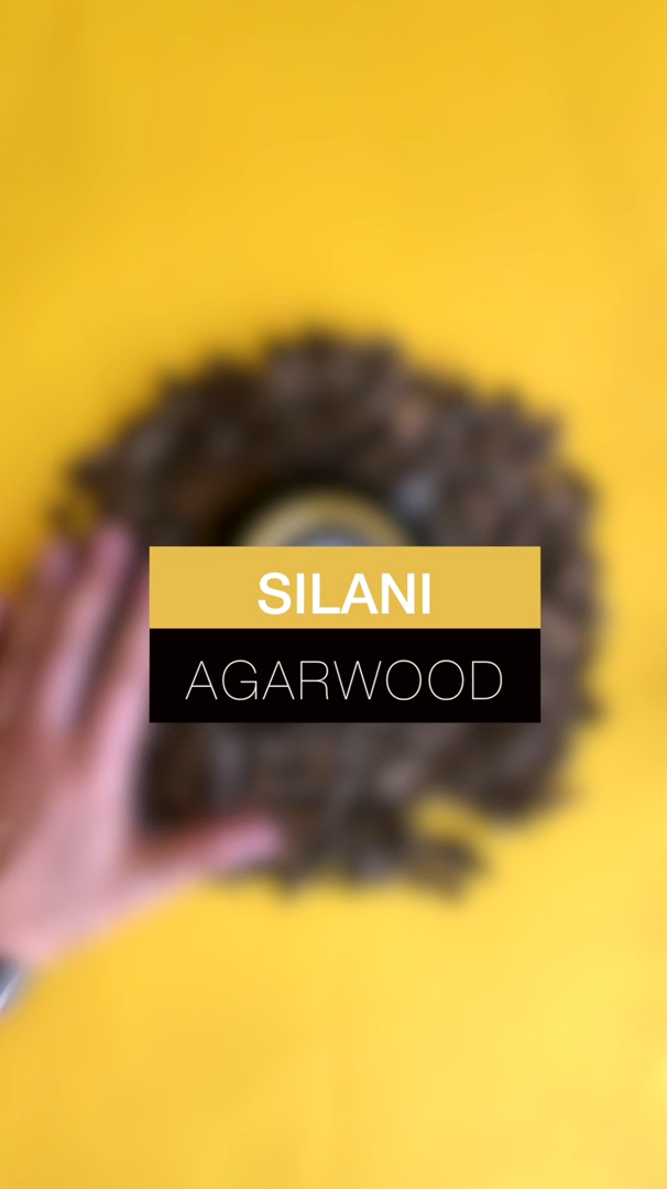 Oud Silani